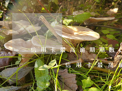信用卡最高逾期期數(shù)超標(biāo)(信用卡最高逾期期數(shù)超標(biāo))
