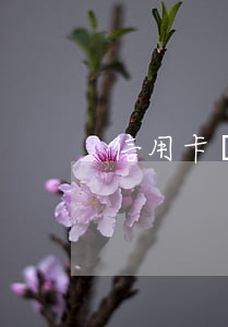信用卡會坐牢么(信用卡起訴會坐牢嗎)