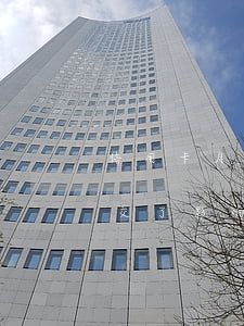 信用卡月费导致征信逾期(信用卡服务费逾期交了影响征信吗)