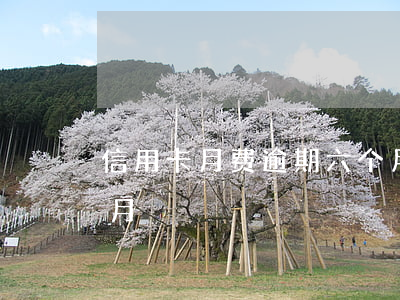 信用卡月费逾期六个月 信用卡月费逾期六个月