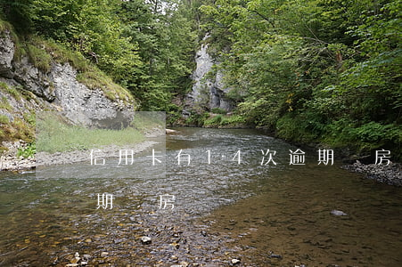 信用卡有14次逾期買房(信用卡有14次逾期買房)