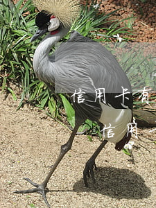 信用卡有16個月處于逾期狀態(tài)-信用卡有16個月處于逾期狀態(tài)怎么辦