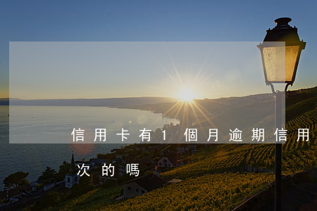 信用卡有1個月逾期(信用卡有1個月逾期一次的嗎)