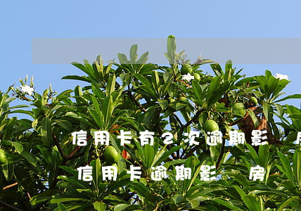 信用卡有2次逾期影響房貸(征信報告有一次信用卡逾期影響房貸嗎)