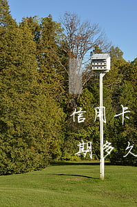 信用卡有30天以上的逾期(信用卡30萬逾期多久會被起訴)