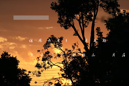 信用卡有3個月逾期狀態(tài)(信用卡3000逾期三個月后果)