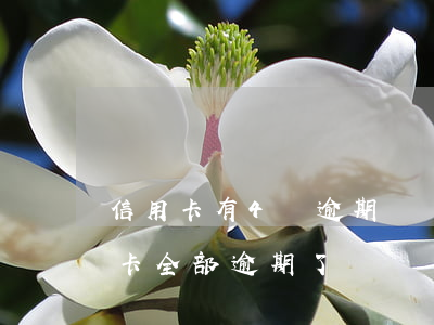 信用卡有4條逾期記錄(十幾個(gè)信用卡全部逾期了)