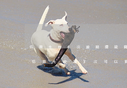 信用卡有4次逾期還能貸款嗎-2016年信用卡逾期3次,可以貸款嗎