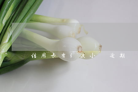 信用卡有5次小額逾期