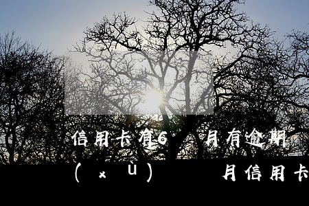 信用卡有6個月有逾期狀態(tài)(連續(xù)兩個月信用卡逾期)