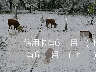 信用卡有6個月發(fā)生過逾期(信用卡有6個月發(fā)生過逾期)