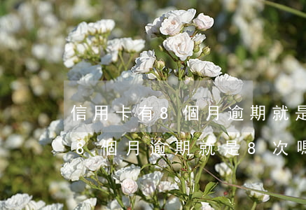 信用卡有8個月逾期就是8次嗎-信用卡有8個月逾期就是8次嗎怎么辦