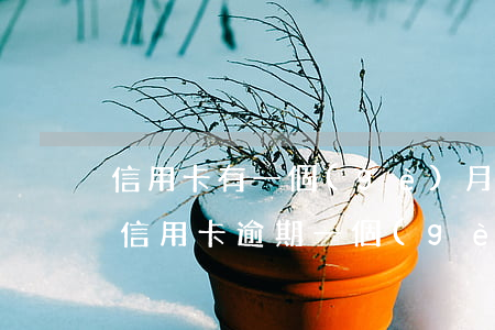 信用卡有一個(gè)月逾期補(bǔ)救(信用卡逾期一個(gè)月沒事吧)