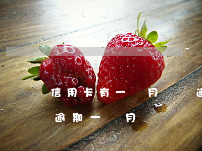 信用卡有一個月賬單逾期(2016年信用卡逾期一個月)