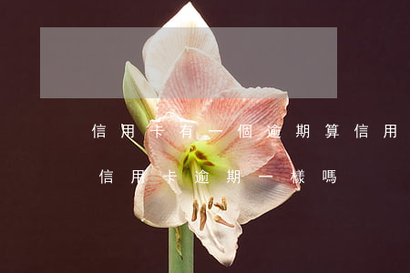 信用卡有一個逾期算信用良好嗎(貸款逾期跟信用卡逾期一樣嗎)