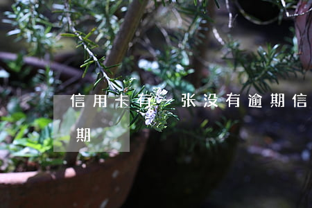 信用卡有一张没有逾期 信用卡有一张没有逾期