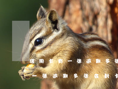 信用卡有一张逾期多张会封卡吗-信用卡有一张逾期多张会封卡吗怎么办