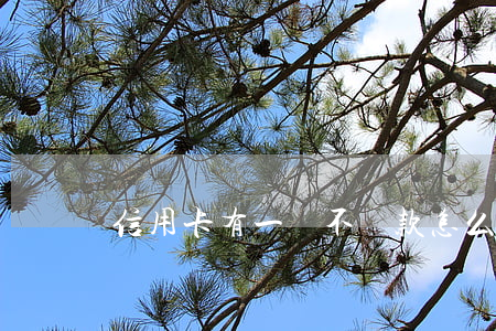 信用卡有一張不還款怎么辦