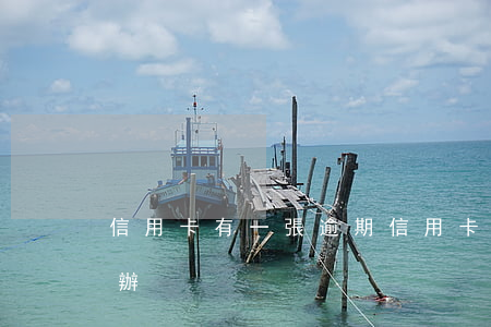 信用卡有一張逾期(信用卡有一張逾期了怎么辦)