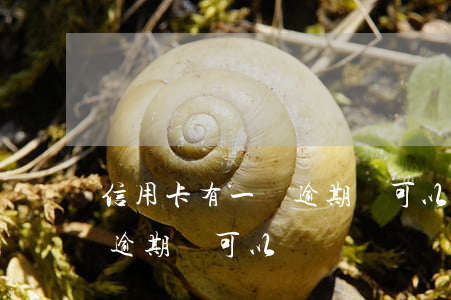 信用卡有一張逾期還可以辦嗎(信用卡有一張逾期還可以辦嗎嗎)