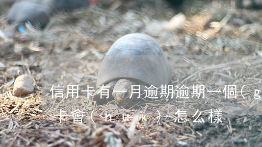 信用卡有一月逾期(逾期一個(gè)月信用卡會(huì)怎么樣)