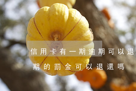 信用卡有一期逾期可以退違約金嗎(信用卡逾期的罰金可以退還嗎)