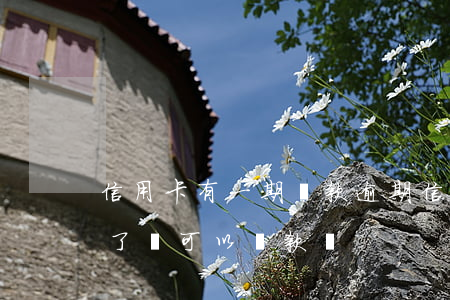 信用卡有一期還款逾期(信用卡逾期一年還完了還可以貸款嗎)
