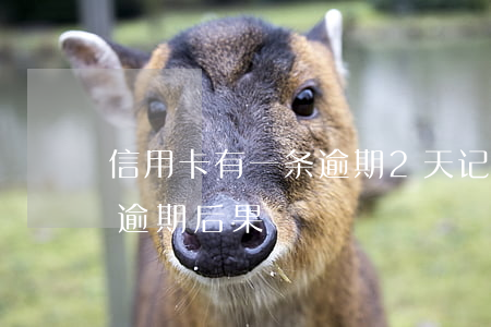 信用卡有一条逾期2天记录吗(信用卡2个月逾期后果)