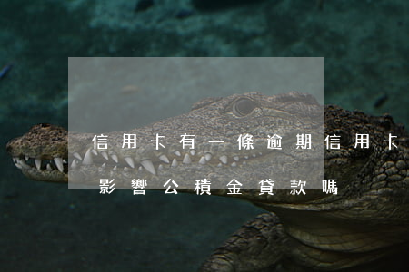 信用卡有一條逾期(信用卡有一條逾期記錄會影響公積金貸款嗎)