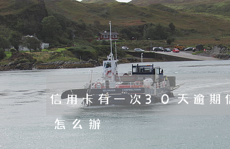 信用卡有一次30天逾期(信用卡逾期30次怎么辦)