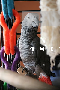 信用卡有一次兩個(gè)月逾期-兩年內(nèi)信用卡逾期2次