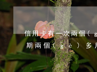 信用卡有一次兩個(gè)月逾期(信用卡逾期兩個(gè)多月)