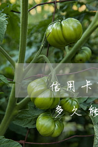 信用卡有一次逾期200(信用卡有一次逾期多久能恢復(fù))
