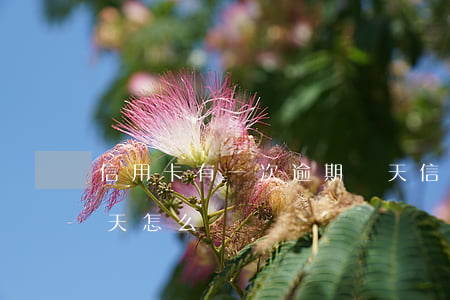 信用卡有一次逾期兩天(信用卡有一次逾期兩天怎么辦)