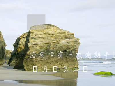 信用卡有一次逾期半個月(信用卡逾期超過1個月會怎么樣)