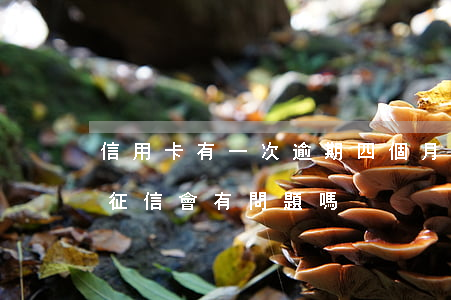 信用卡有一次逾期四個月(信用卡逾期四個月征信會有問題嗎)
