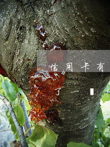 信用卡有一次逾期影響分期樂-分期樂逾期了一個(gè)月會(huì)有什么后果?