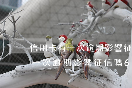 信用卡有一次逾期影響征信嗎6-信用卡有一次逾期影響征信嗎6年