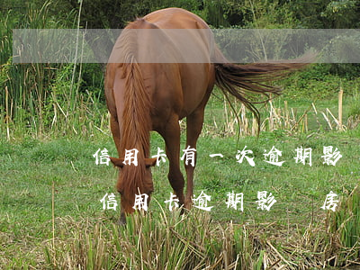 信用卡有一次逾期影響征信(征信報告有一次信用卡逾期影響房貸嗎)