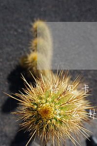 信用卡有一次逾期怎么搞(信用卡逾期一个月怎么补救)