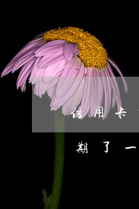 信用卡有一次逾期怎么辦(信用卡一不小心逾期了一次)