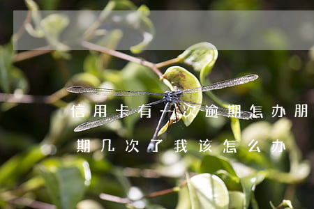 信用卡有一次逾期怎办(朋友用我的信用卡逾期几次了,我该怎么办)