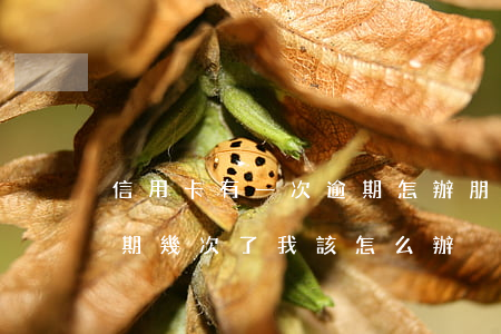 信用卡有一次逾期怎辦(朋友用我的信用卡逾期幾次了,我該怎么辦)