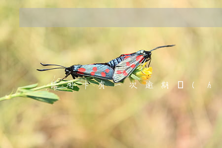 信用卡有一次逾期會(huì)怎么樣