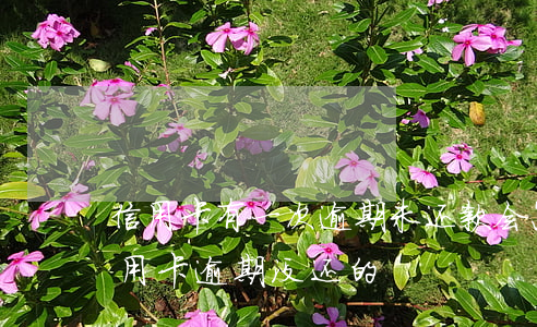 信用卡有一次逾期未还款会怎么样(有没有信用卡逾期没还的)