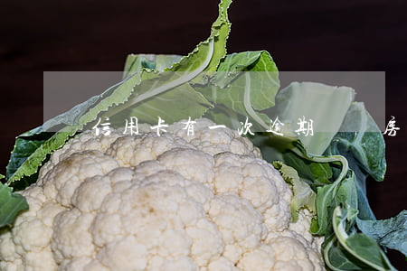 信用卡有一次逾期記錄房貸