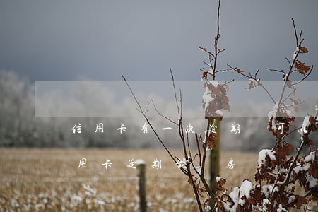 信用卡有一次逾期還可以辦房貸嗎(有一次信用卡逾期能辦房貸嗎)