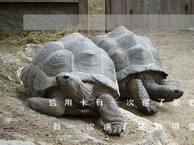 信用卡有一次還了最低項是逾期嗎-信用卡有一次還了最低項是逾期嗎怎么辦