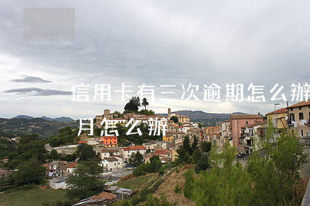 信用卡有三次逾期怎么辦車貸(車貸逾期三個月怎么辦)