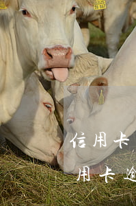 信用卡有三次逾期記錄嗎(征信報告有3次信用卡逾期能貸款嗎)